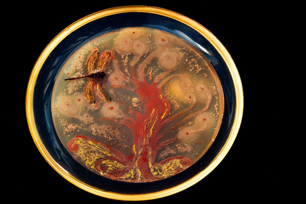 Picture 8 of Artworks painted with bacteria