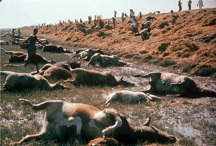 Picture 1 of Asia's deadliest storms since the 1970s