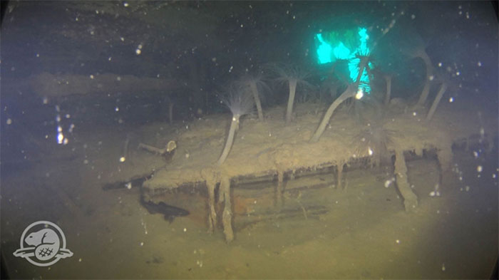 Picture 5 of Astounding images of the ship 'freezing time' after nearly 200 years of sinking under the sea