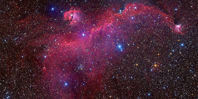 Picture 1 of Astronomers took a picture of the constellation of albatross