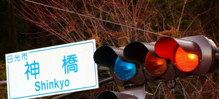 Picture 8 of August 5: The 102th birthday of traffic lights and the