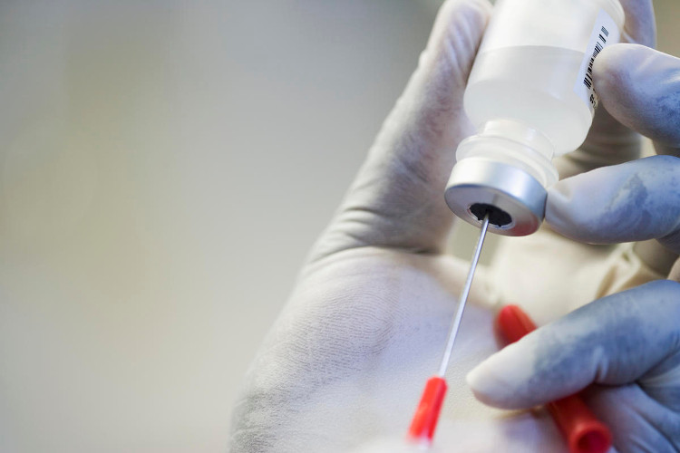 Picture 1 of Australia: A breakthrough discovery brings hope to cure malaria