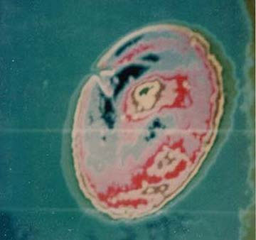 Picture 1 of Australia announces confidential documents about UFOs