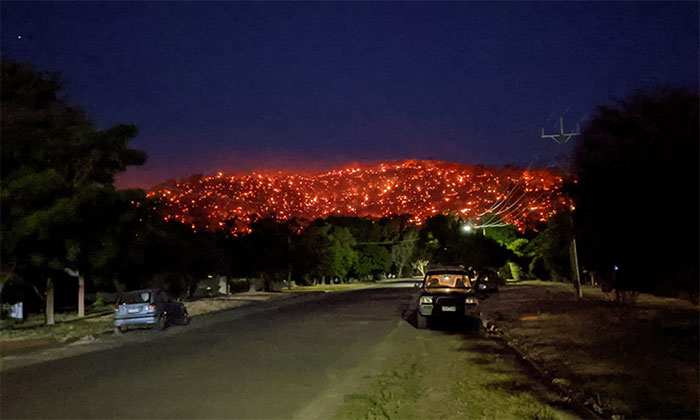 Picture 1 of Australia develops satellite to predict forest fires