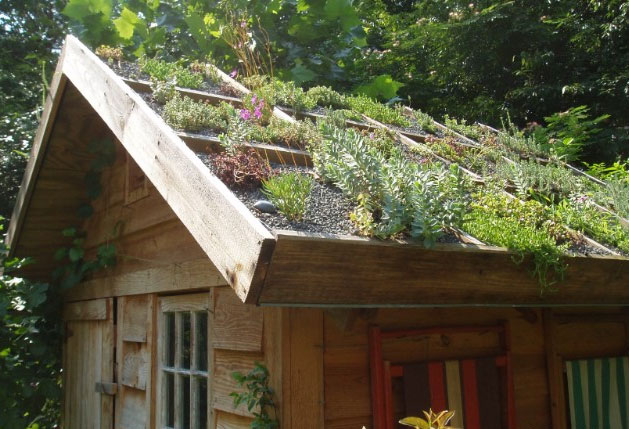 Picture 1 of Australia encourages tree planting on the roofs
