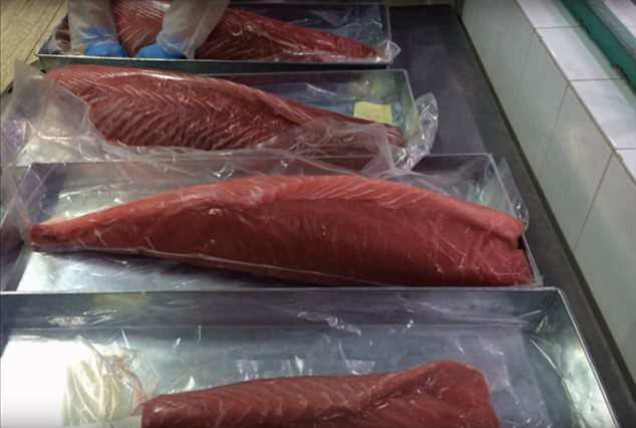 Picture 2 of Australia is alert to tuna freshened with Carbon Monoxide