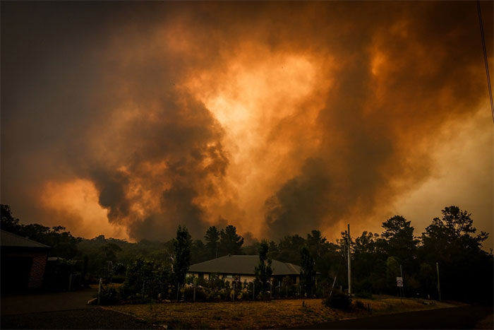 Picture 3 of Australia record hot, the sea into a 'hot pot' cooked many creatures