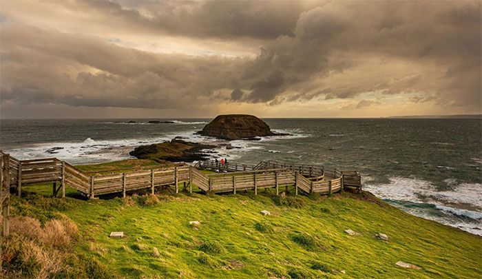 Picture 9 of Australia relocated people to make room for tiny penguins