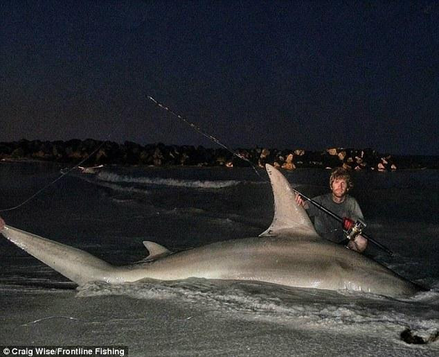 Picture 1 of Australian fishermen get the world's most