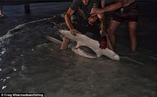 Picture 2 of Australian fishermen get the world's most