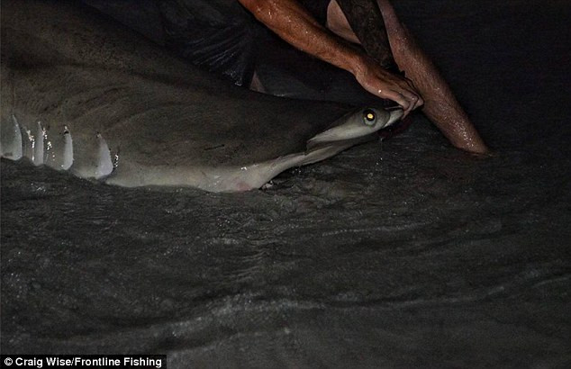 Picture 4 of Australian fishermen get the world's most