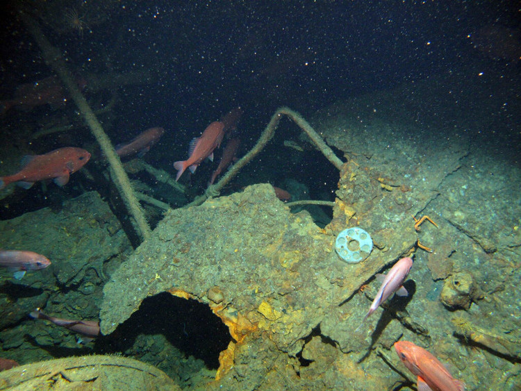Picture 1 of Australia's first submarine was found after more than 100 years of disappearance