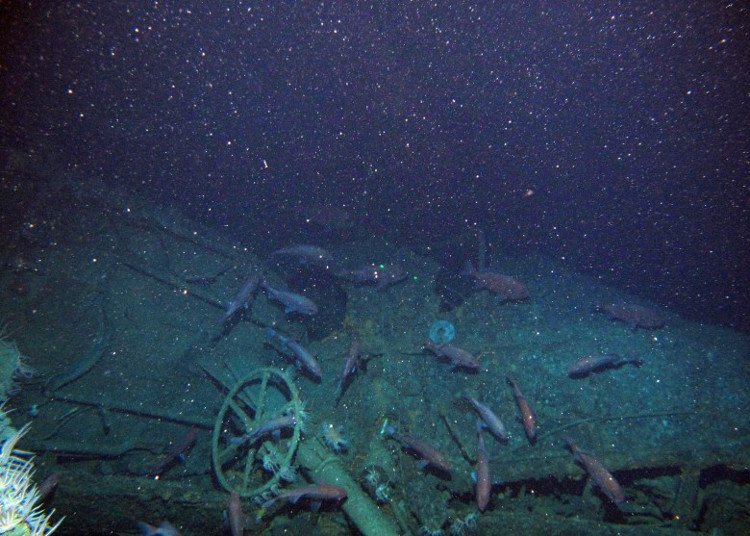 Picture 2 of Australia's first submarine was found after more than 100 years of disappearance