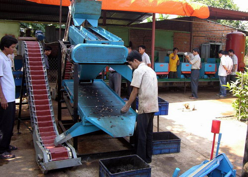 Picture 1 of Automatic cashew nut cutting machine