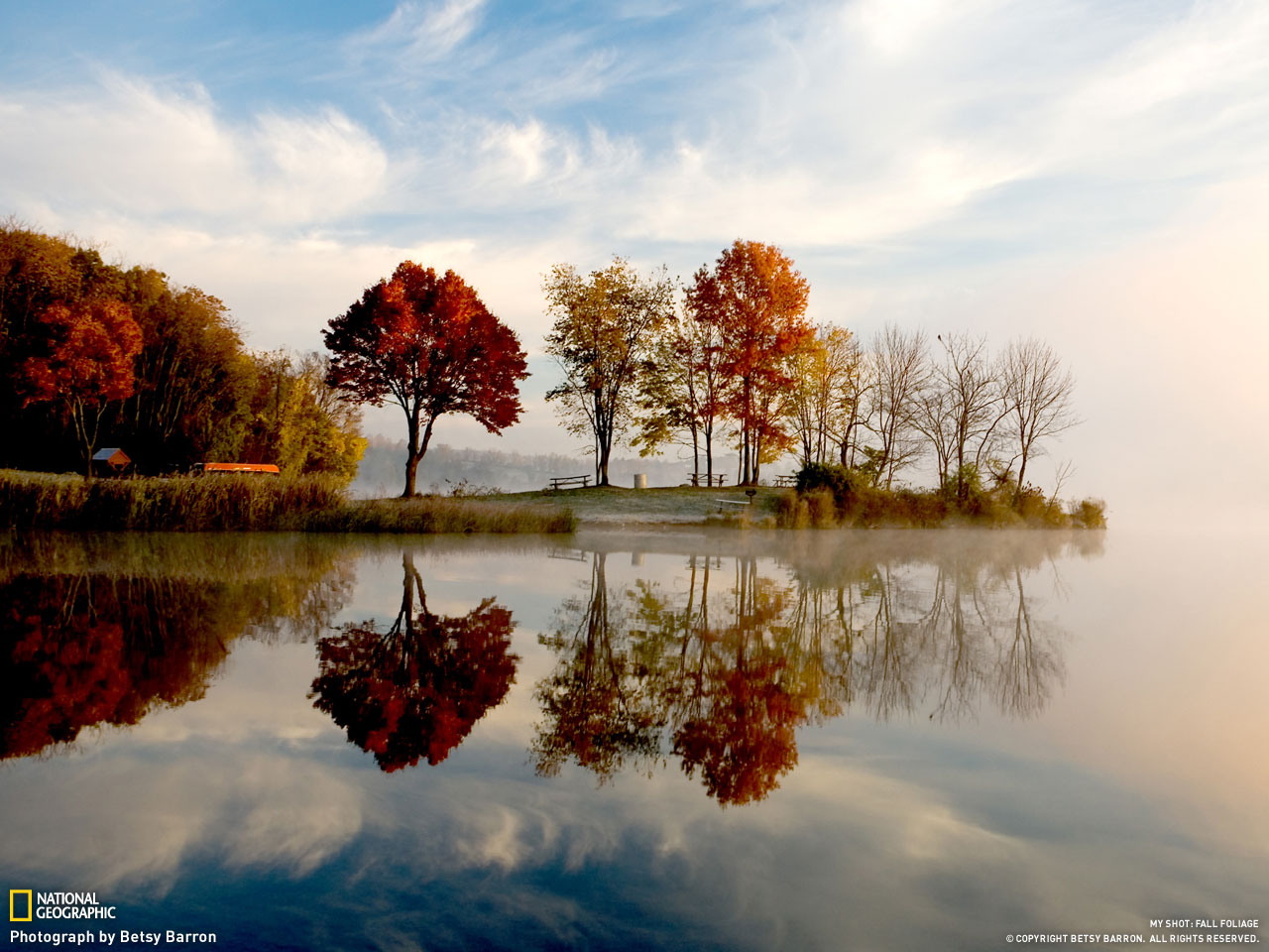 Picture 6 of Autumn leaves