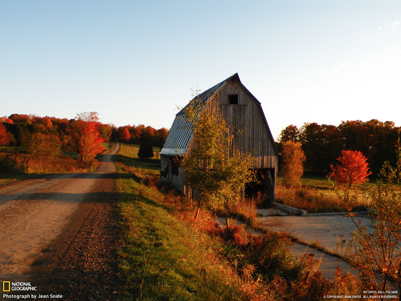 Picture 7 of Autumn leaves