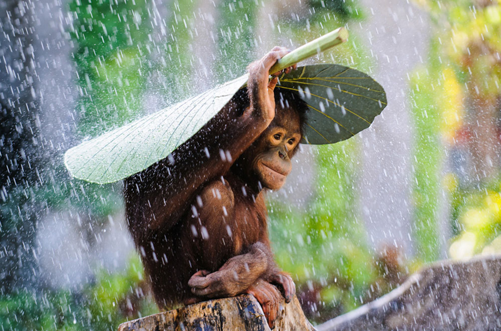 Picture 4 of Award-winning photos of National Geographic Photo Contest 2015