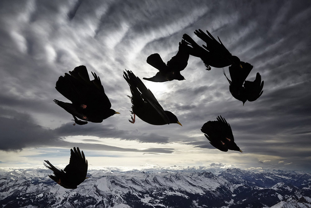 Picture 5 of Award-winning photos of National Geographic Photo Contest 2015