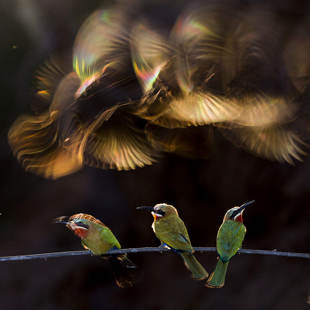 Picture 7 of Award-winning photos of National Geographic Photo Contest 2015