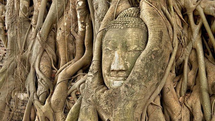 Picture 9 of Ayutthaya historical city