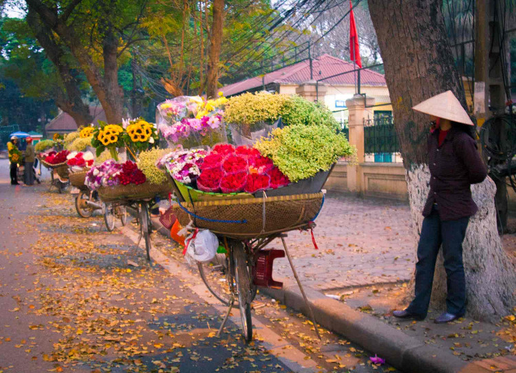 Picture 1 of Bac Bo prepares for holidays in cool weather, Nam Bo local rainstorm