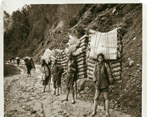 Picture 8 of Back in history, learn about the origin of tea