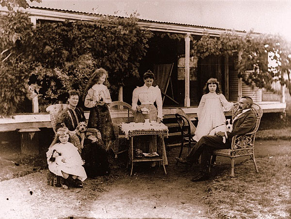Picture 9 of Back in history, learn about the origin of tea