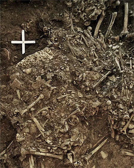 Picture 1 of Bacteria associated with 'black death' were found in 5,000 year old tombs