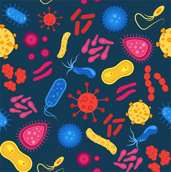 Bacteria can travel thousands of miles, do you know?