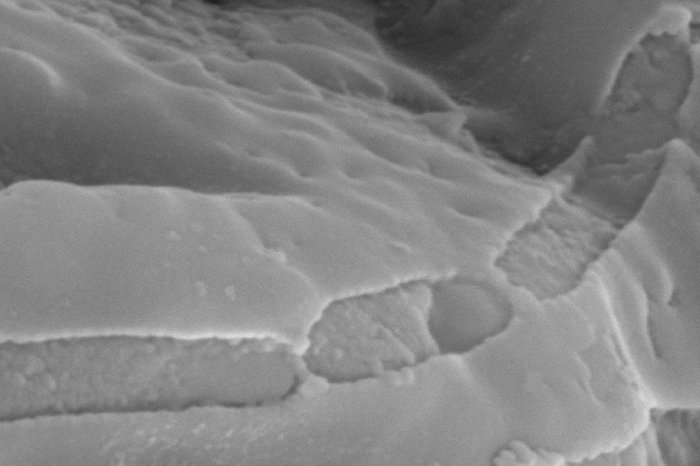 Picture 1 of Bacteria more than three billion years old hide in the cave