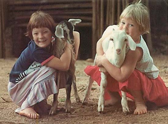 Picture 1 of Bacteria protect children from asthma