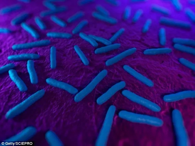 Picture 2 of Bacteria resistant to all drugs discovered in the US