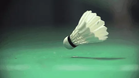 Picture 5 of Badminton is one of the most exquisite creatures in the world