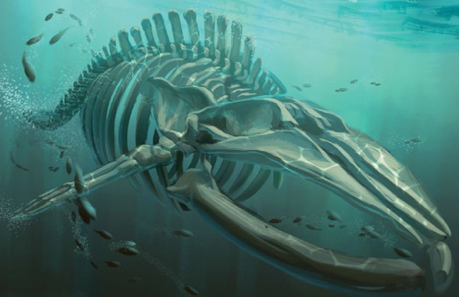 Picture 2 of Bakekujira: The mysterious curse of the sea monster Bakekujira: The giant returns from the dead