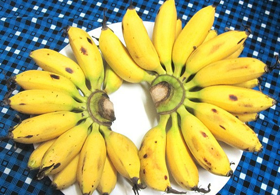 Picture 3 of Bananacoin - Banana coins, worth 1 pound of bananas
