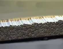 Picture 1 of BAT researches tobacco production more safe