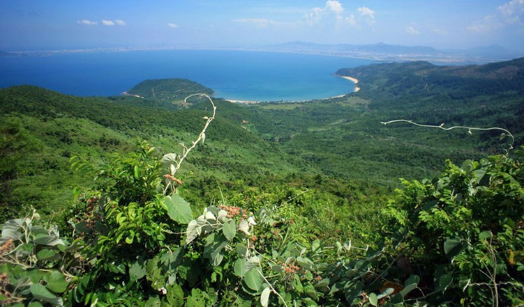 Picture 14 of Be overwhelmed by the irresistible beauty of Hai Van Pass