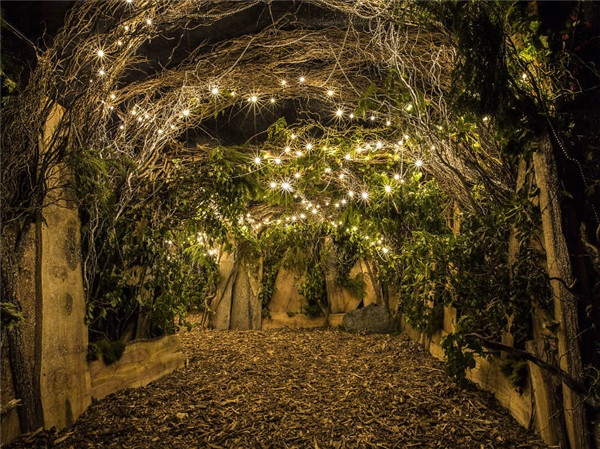 Picture 40 of Be overwhelmed by the wonderful virtual Christmas decorations throughout the five continents