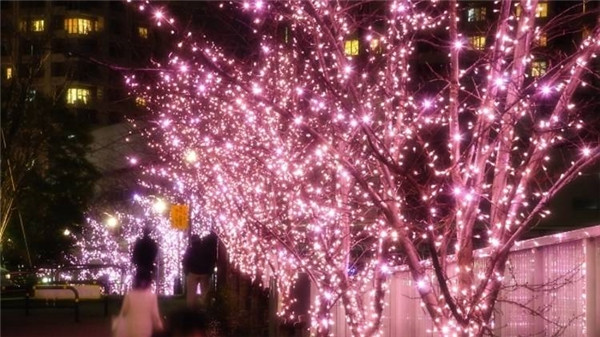 Picture 57 of Be overwhelmed by the wonderful virtual Christmas decorations throughout the five continents