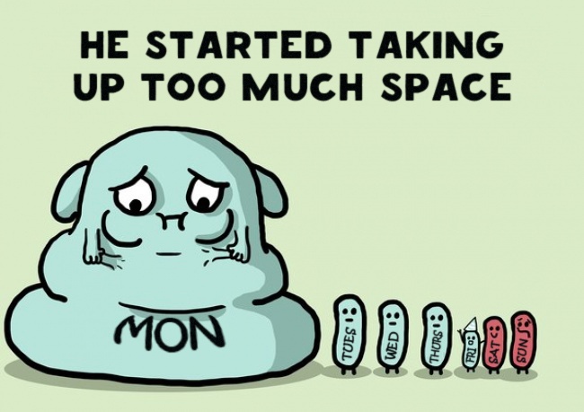 Picture 6 of Beam of funny photos: Second and