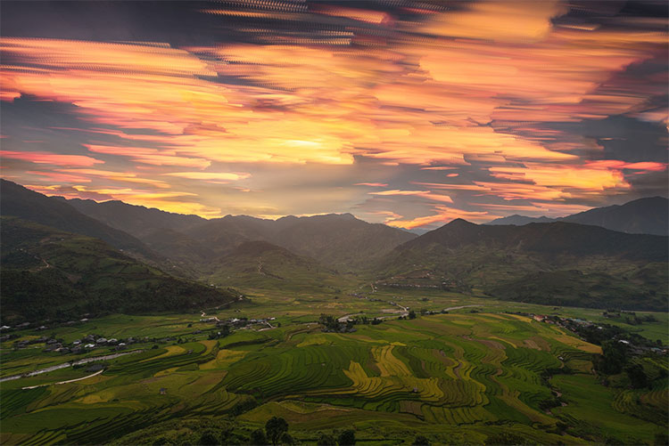 Picture 2 of Beam of Mu Cang Chai image is bright yellow in the season of ripe rice
