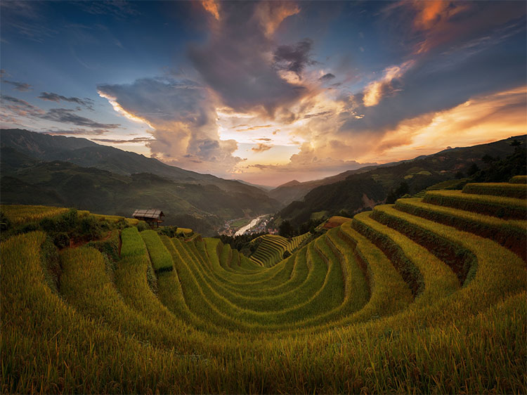 Picture 9 of Beam of Mu Cang Chai image is bright yellow in the season of ripe rice