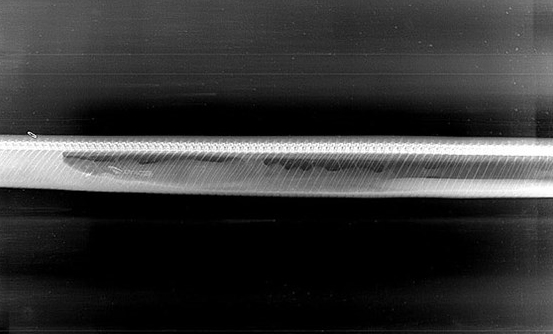 Picture 6 of Beam of python X-ray pythons digest shocking crocodiles