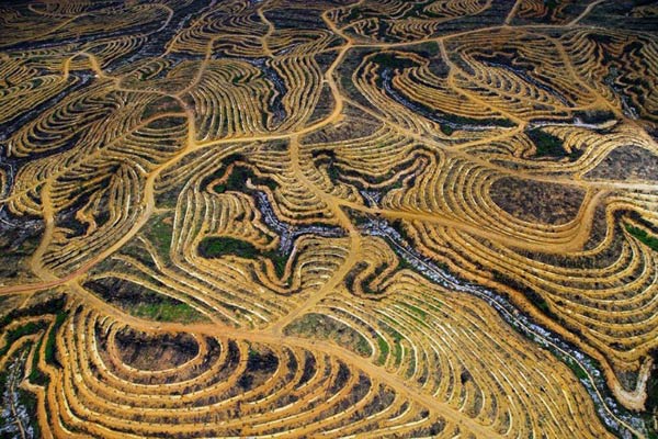 Picture 10 of Beaming images of shocking environment on the planet