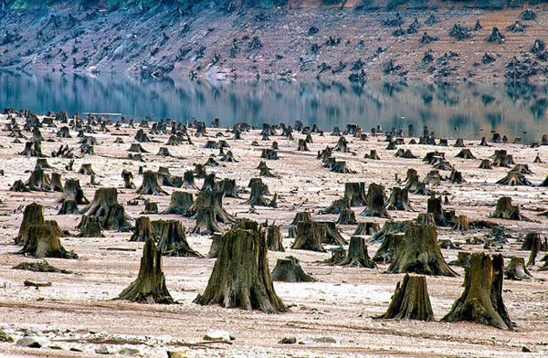 Picture 3 of Beaming images of shocking environment on the planet
