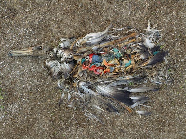 Picture 5 of Beaming images of shocking environment on the planet