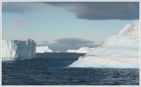 Picture 4 of Beams: interesting Antarctica