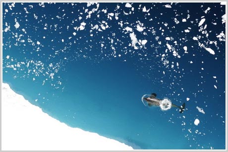 Picture 6 of Beams: interesting Antarctica