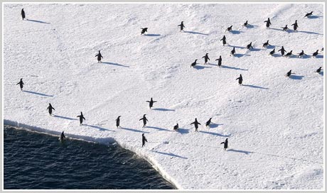 Picture 7 of Beams: interesting Antarctica