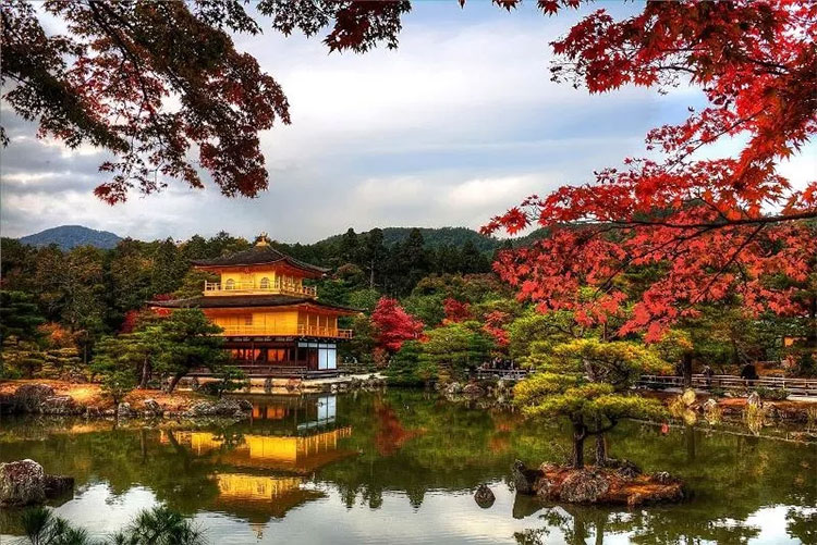 Picture 1 of Beams of photos: Sac autumn brilliantly all over the world